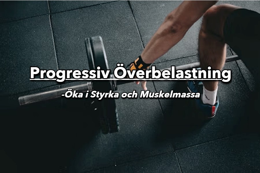 Progressiv Överbelastning (Progressive Overload)