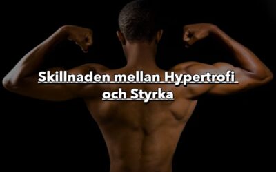 Skillnaden mellan Hypertrofi (Muskeltillväxt) och Styrka